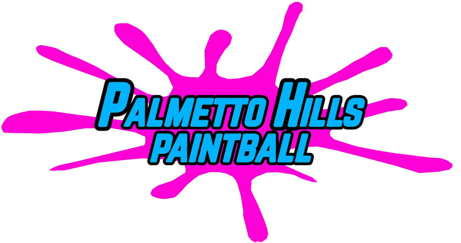 Palmetto Hills